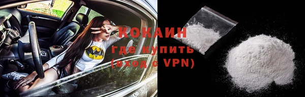 шишки Инсар