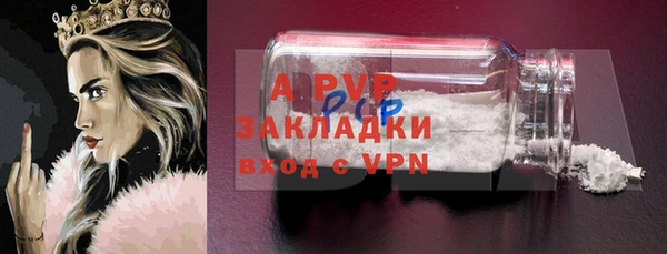 гидра Инта