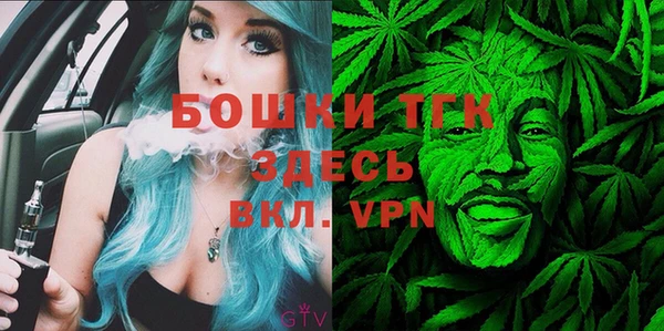 гидра Инта