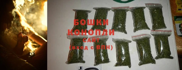 шишки Инсар