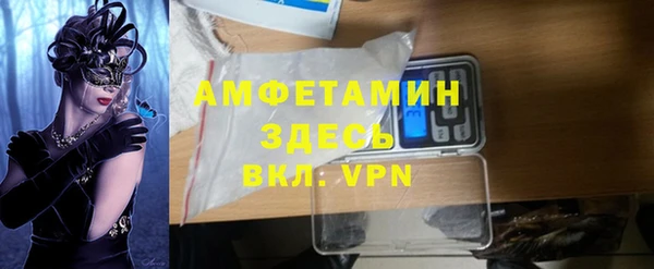 шишки Инсар