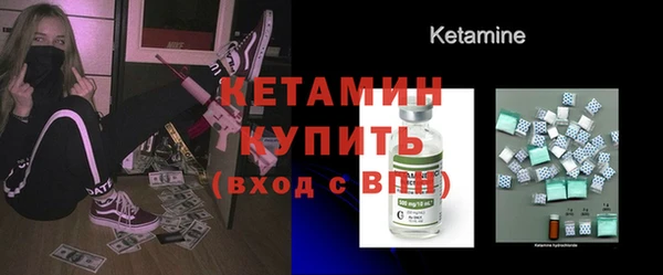 гидра Инта