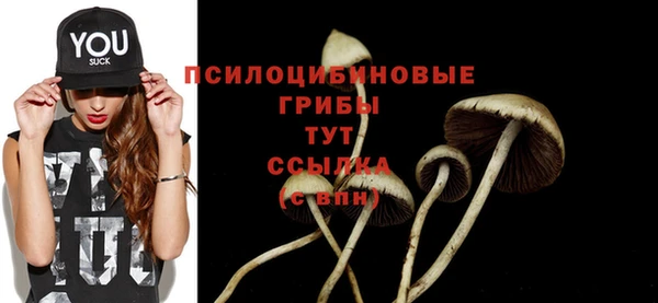 спиды Иннополис