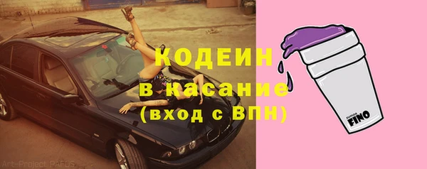 гидра Инта