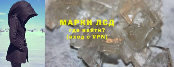 гидра Инта