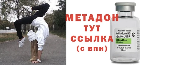 гидра Инта