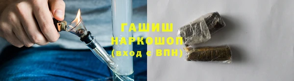 гидра Инта