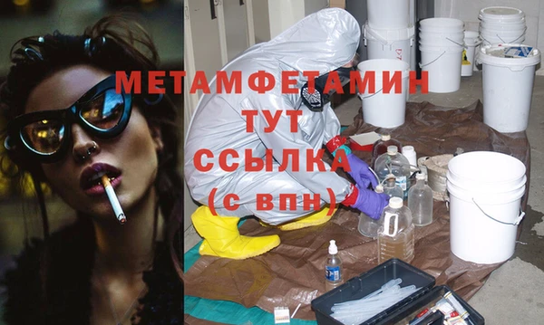 гидра Инта