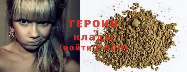 гидра Инта