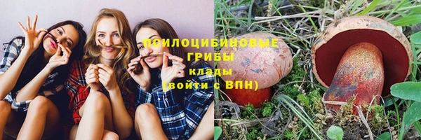 шишки Инсар