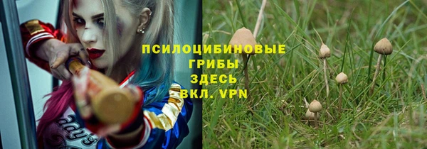 спиды Иннополис