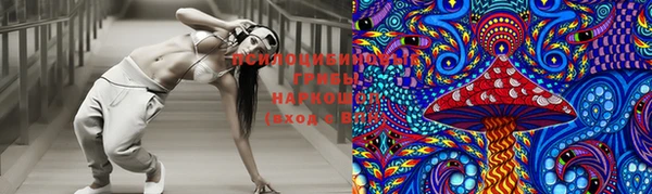 шишки Инсар