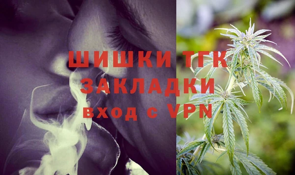 шишки Инсар