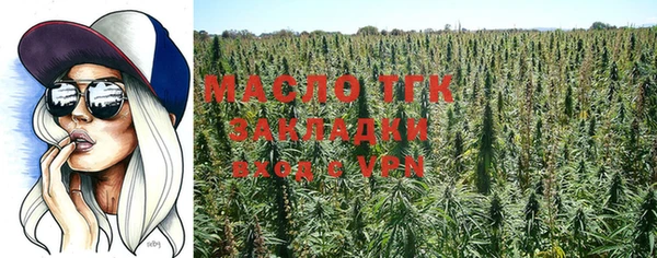 шишки Инсар