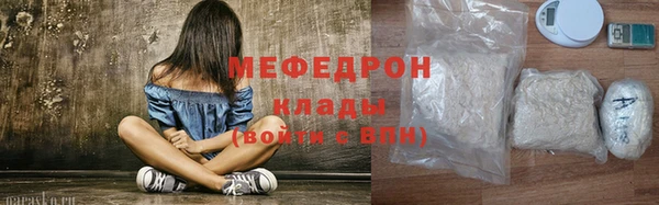 гидра Инта