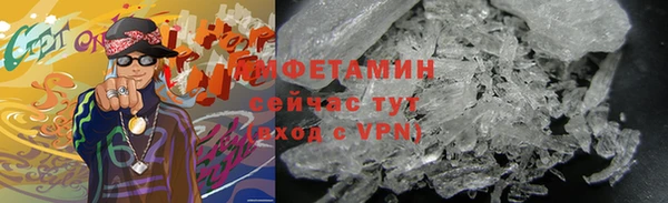 гидра Инта