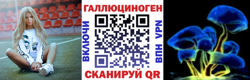 Псилоцибиновые грибы ЛСД Каменногорск
